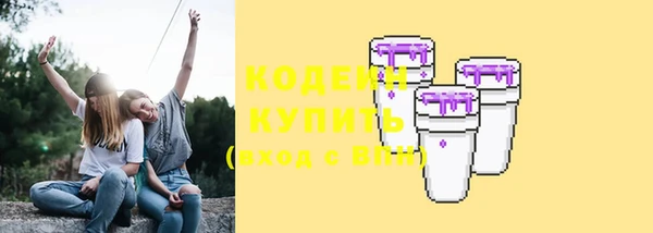 индика Пролетарск